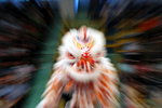 DSC_0120_resize