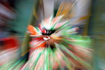 DSC_0162_resize
