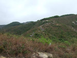 DSCF1187