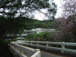 DSCF1198