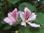 DSCF1205