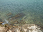 DSCF1217