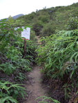 由此路上吊...燈籠