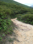 燈籠下的路 (1)