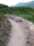 燈籠下的路 (2)