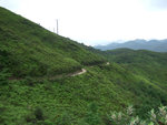 燈籠下的路 (3)