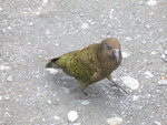 Day 4-30