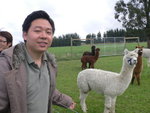 Day 6-91