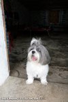 20070421_resize_008