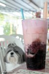 20070421_resize_014