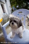 20070421_resize_029