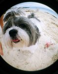 20070422_resize_094