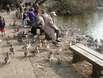 DSC06717