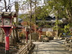 DSC05523
