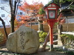 DSC05525