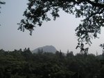 PICT0129