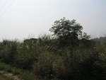 PICT0161