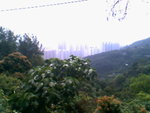 IMG0719A