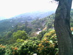 IMG0720A