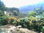 IMG0721A