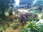 IMG0723A
