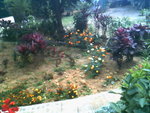IMG0724A