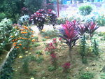 IMG0727A