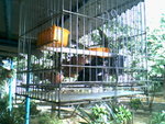 IMG0733A