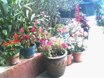 IMG0737A