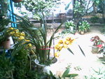 IMG0738A