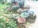 IMG0739A