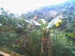 IMG0740A
