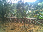 IMG0741A