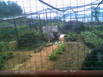IMG0743A