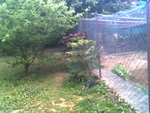 IMG0744A