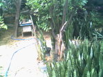 IMG0746A