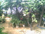 IMG0748A