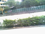 IMG0824A