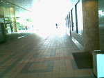 IMG0842A