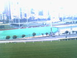 IMG0843A