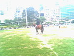 IMG0847A