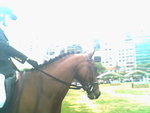 IMG0848A