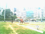 IMG0850A