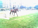 IMG0851A