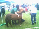 IMG0853A