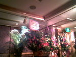 IMG0883A
