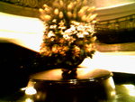 IMG0884A