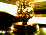 IMG0885A