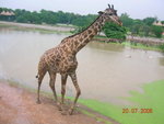 DSCN0738