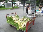RIMG0037